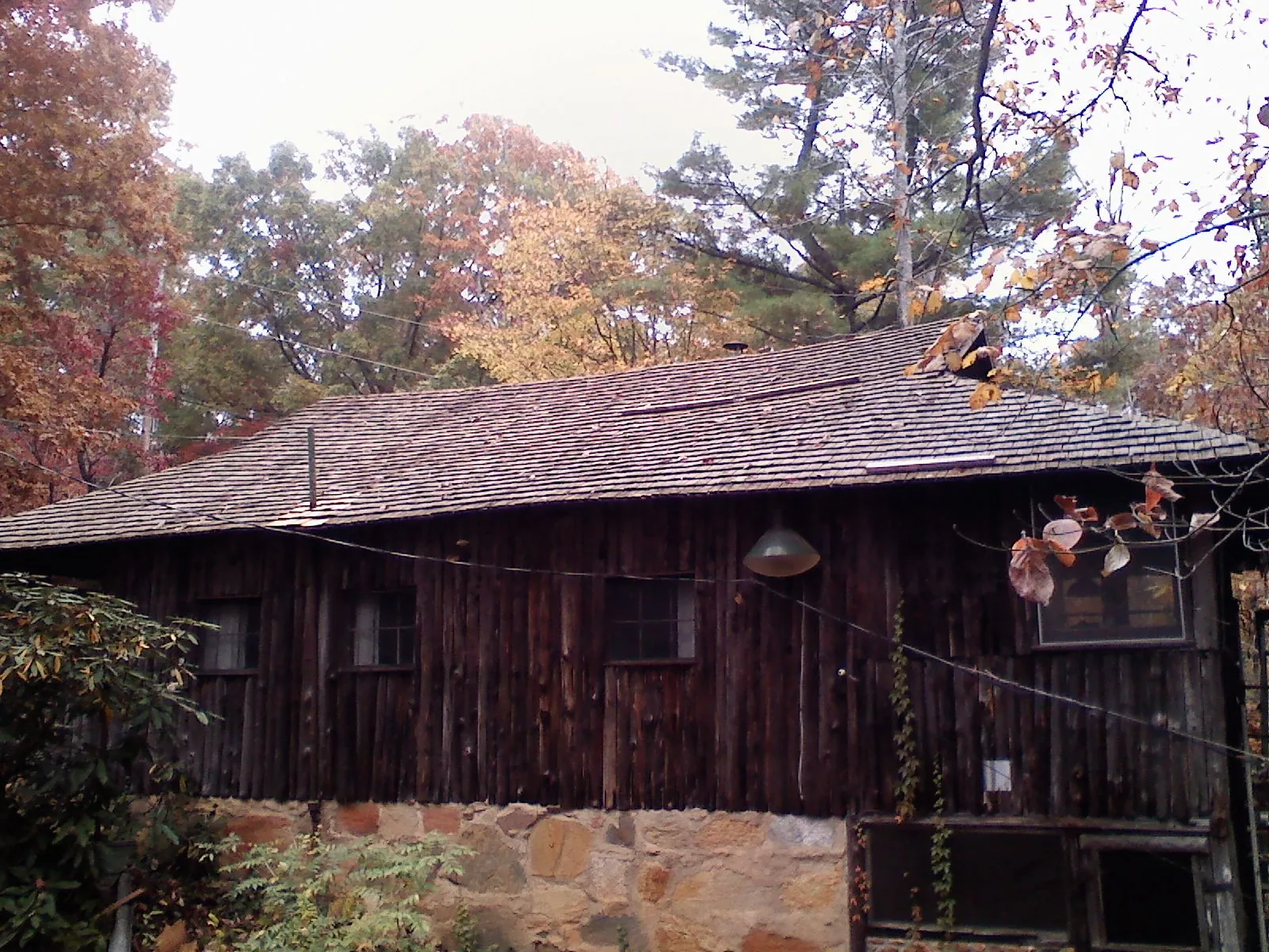 Weathered wood shake roof on a rustic board sided cabin in Bloomington